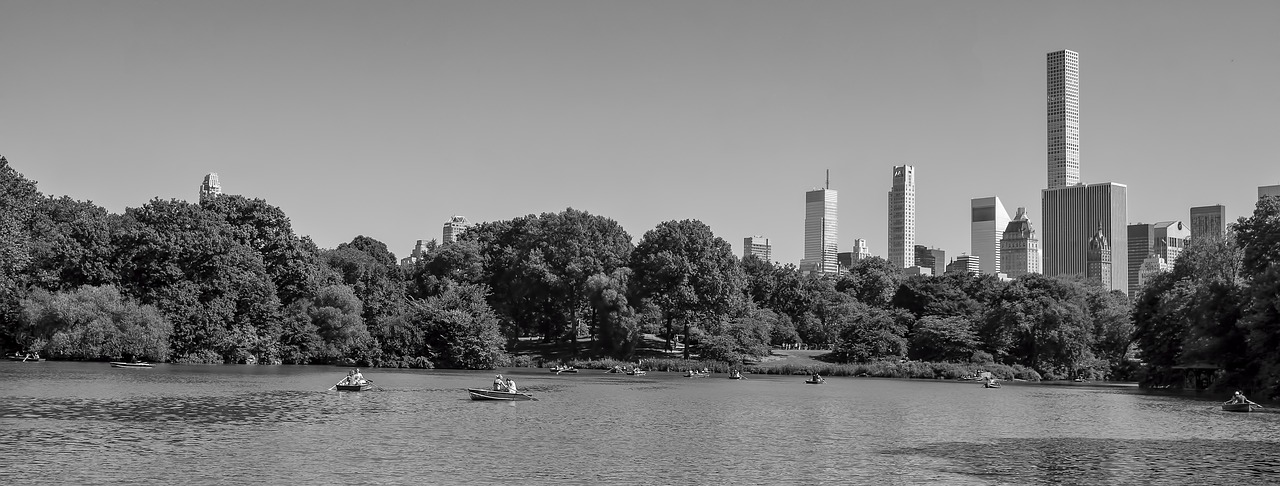 new york city  urban  park free photo