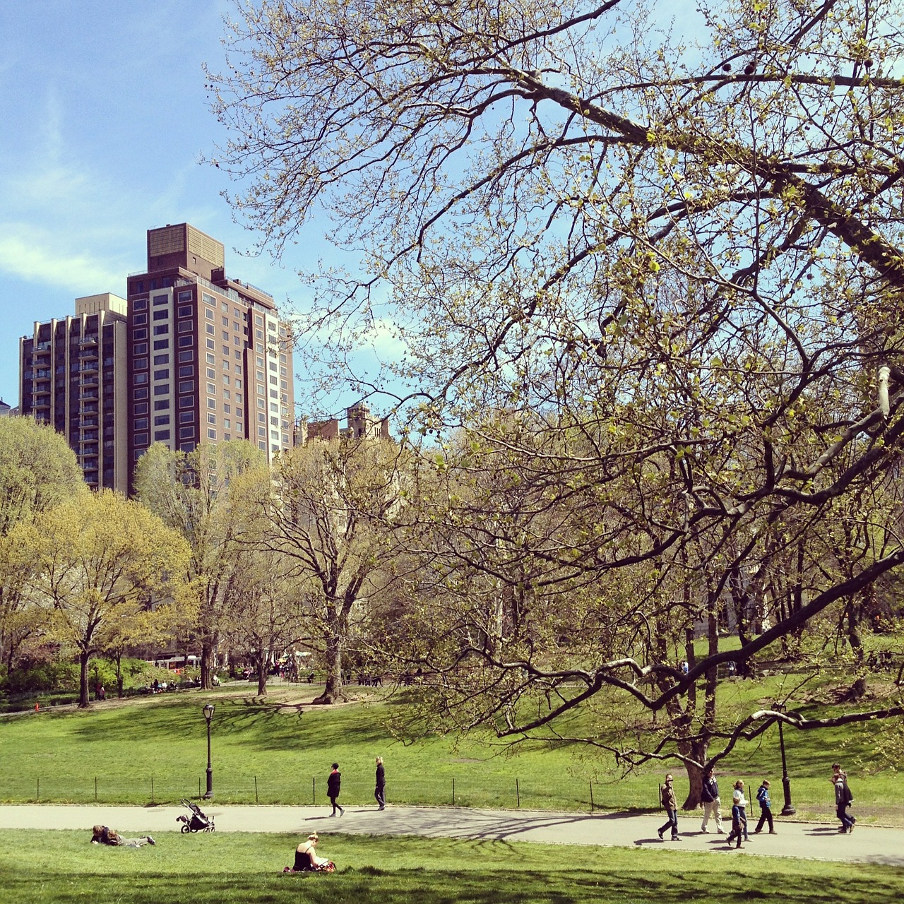 new york city central park manhattan free photo