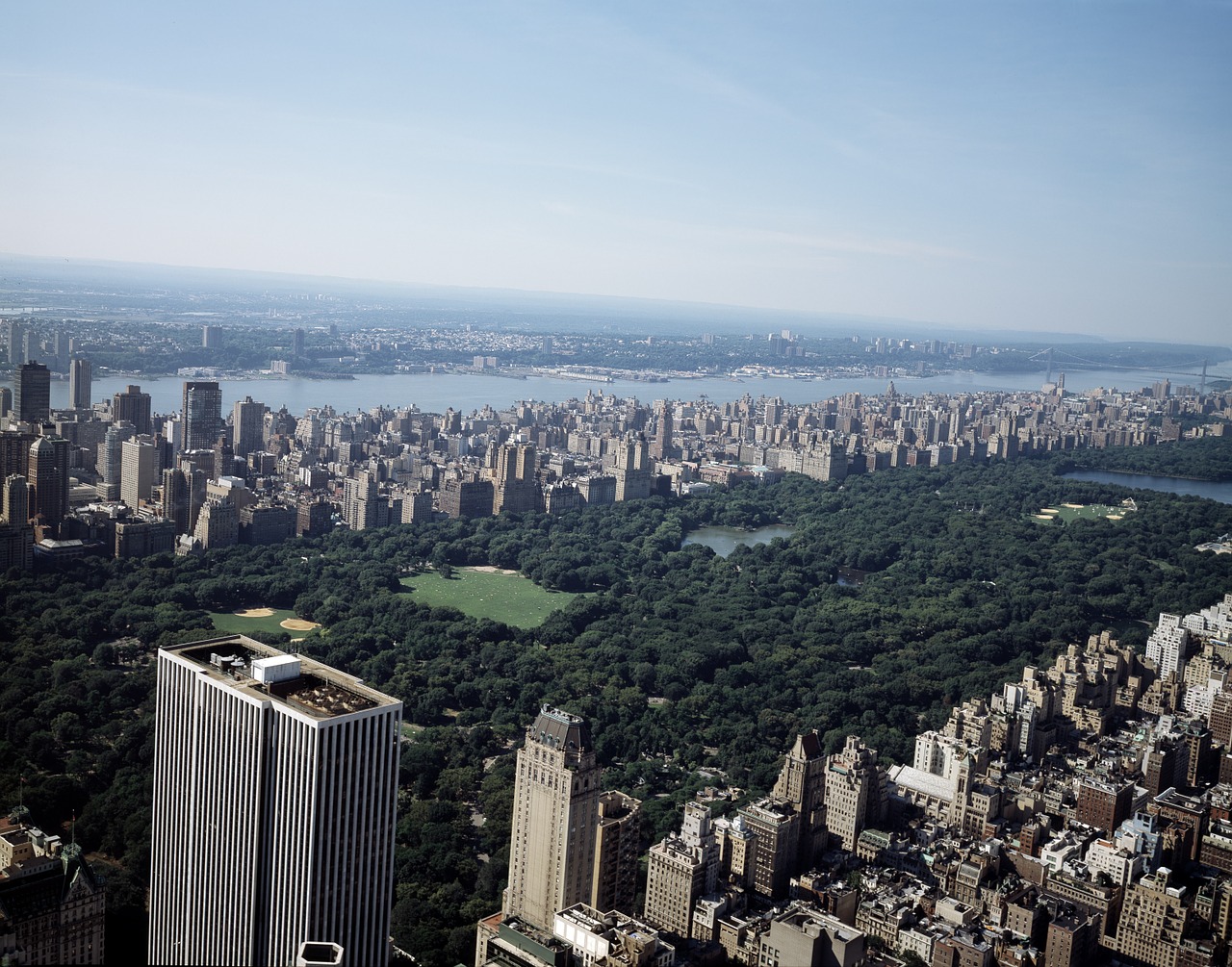 new york city central park skyline free photo