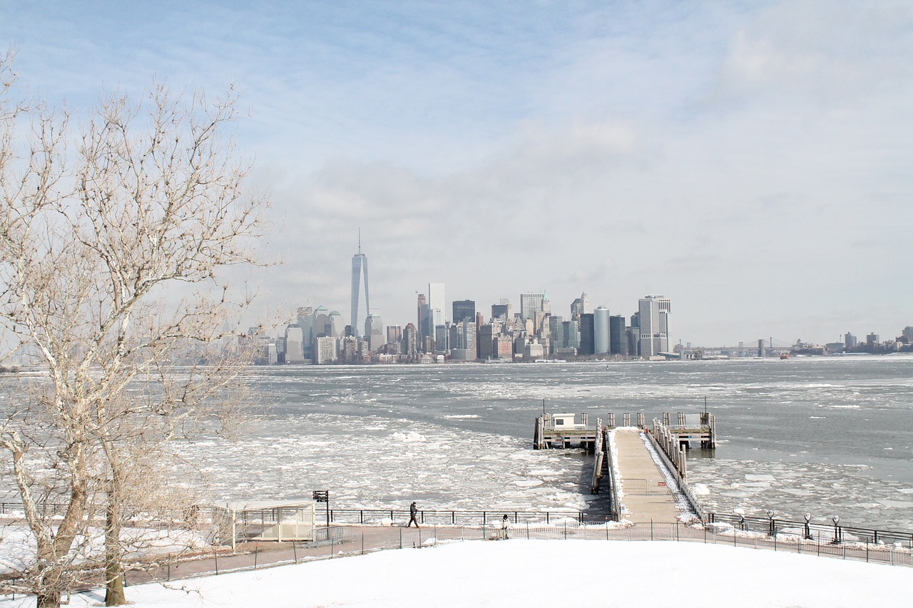 new york city skyline winter free photo