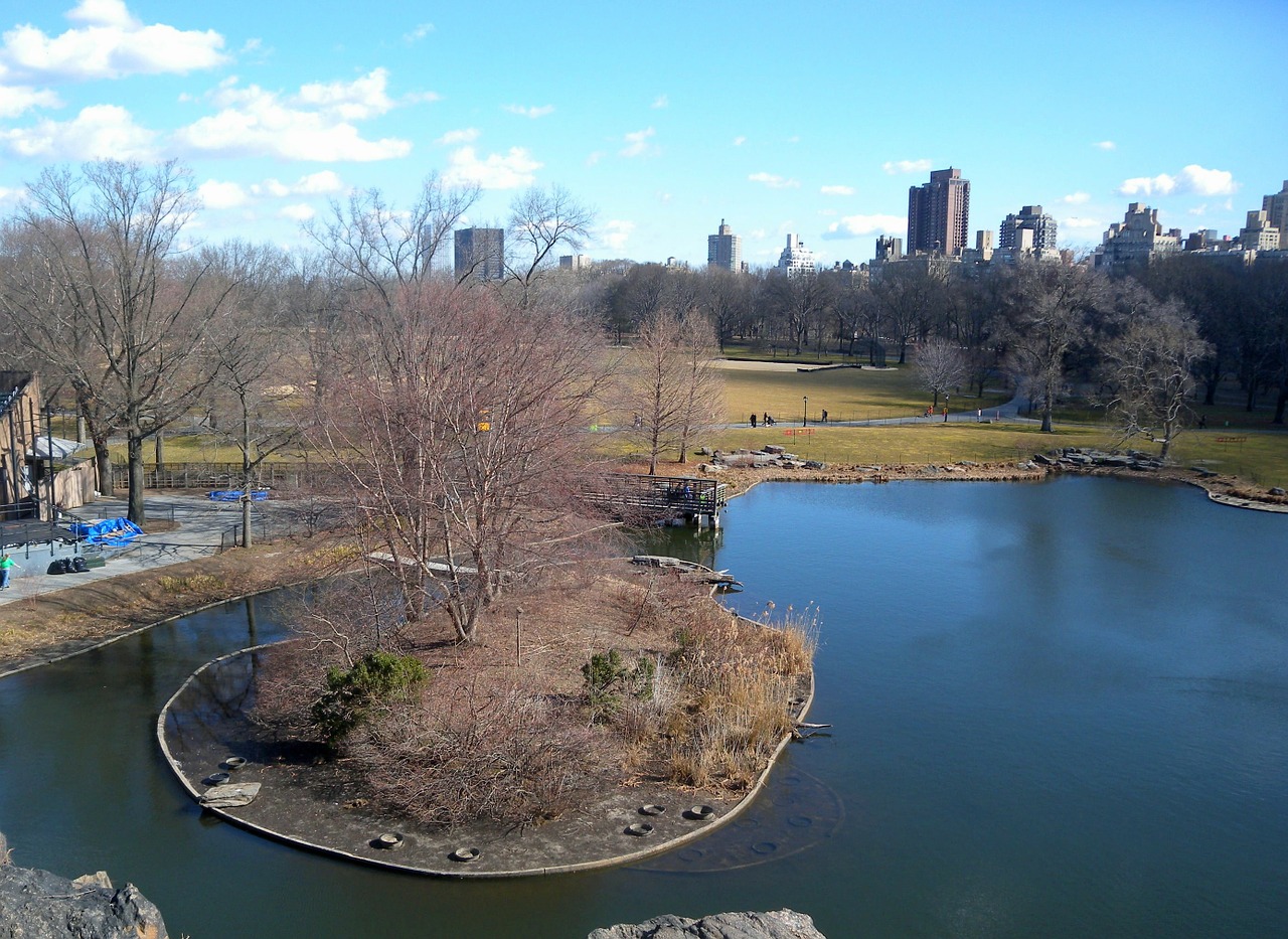 new york city pond lake free photo