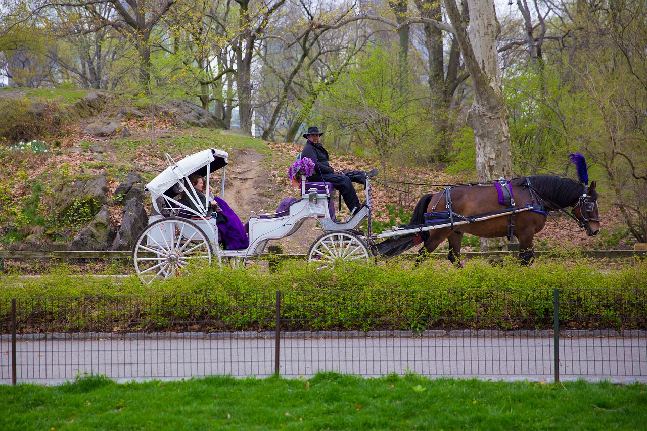 new york ny  america  manhattan free photo