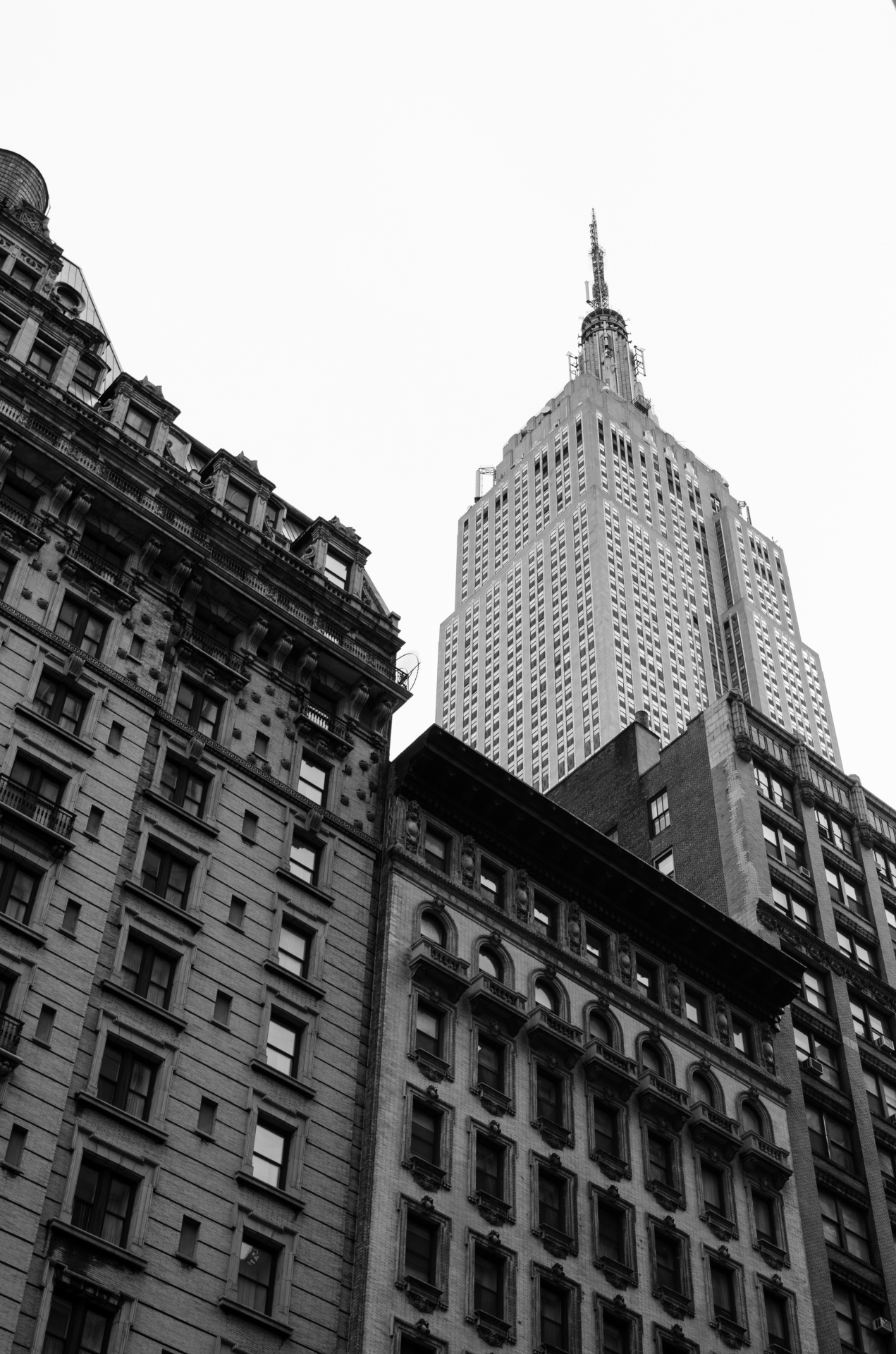 new york building free photo