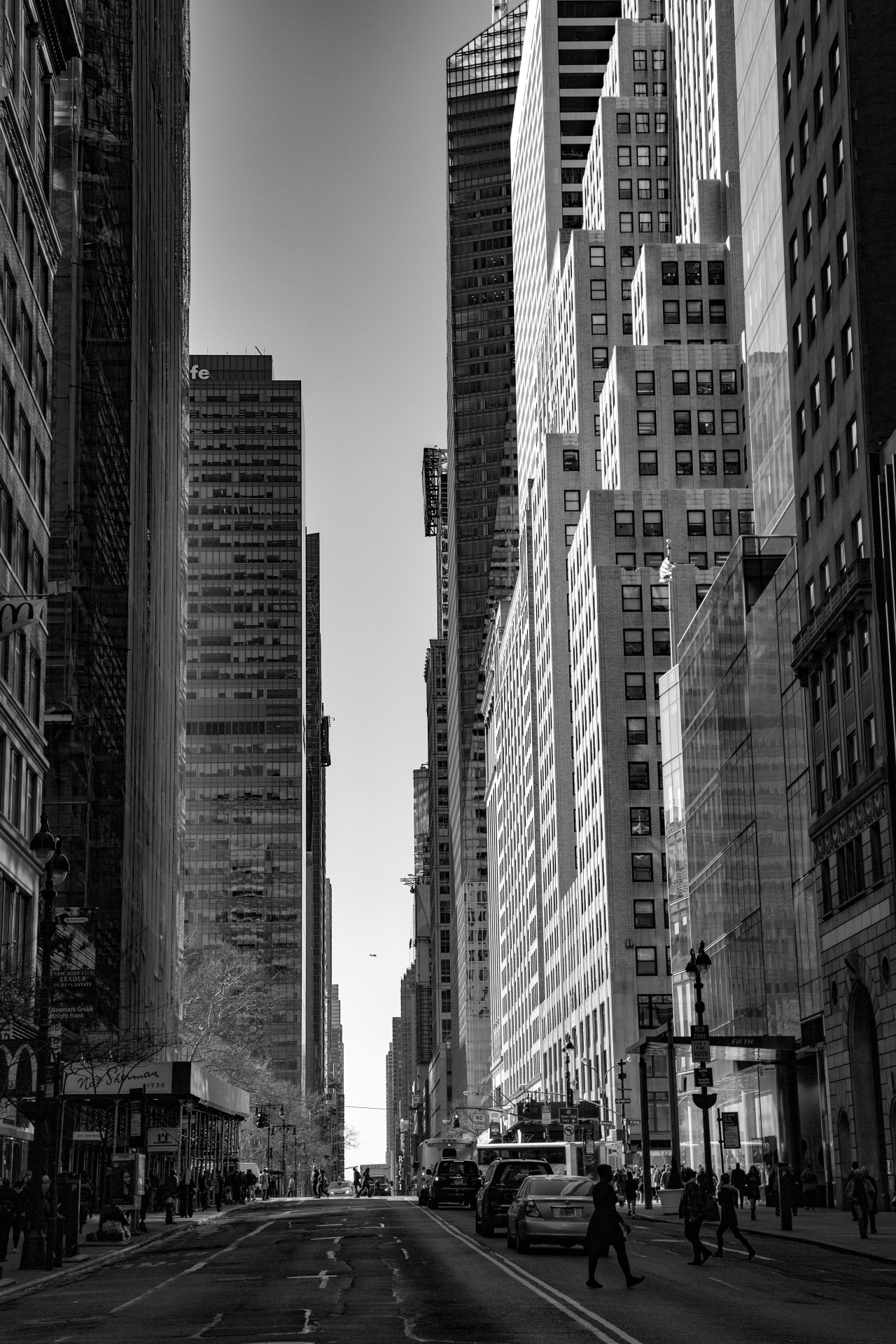 new york street free photo