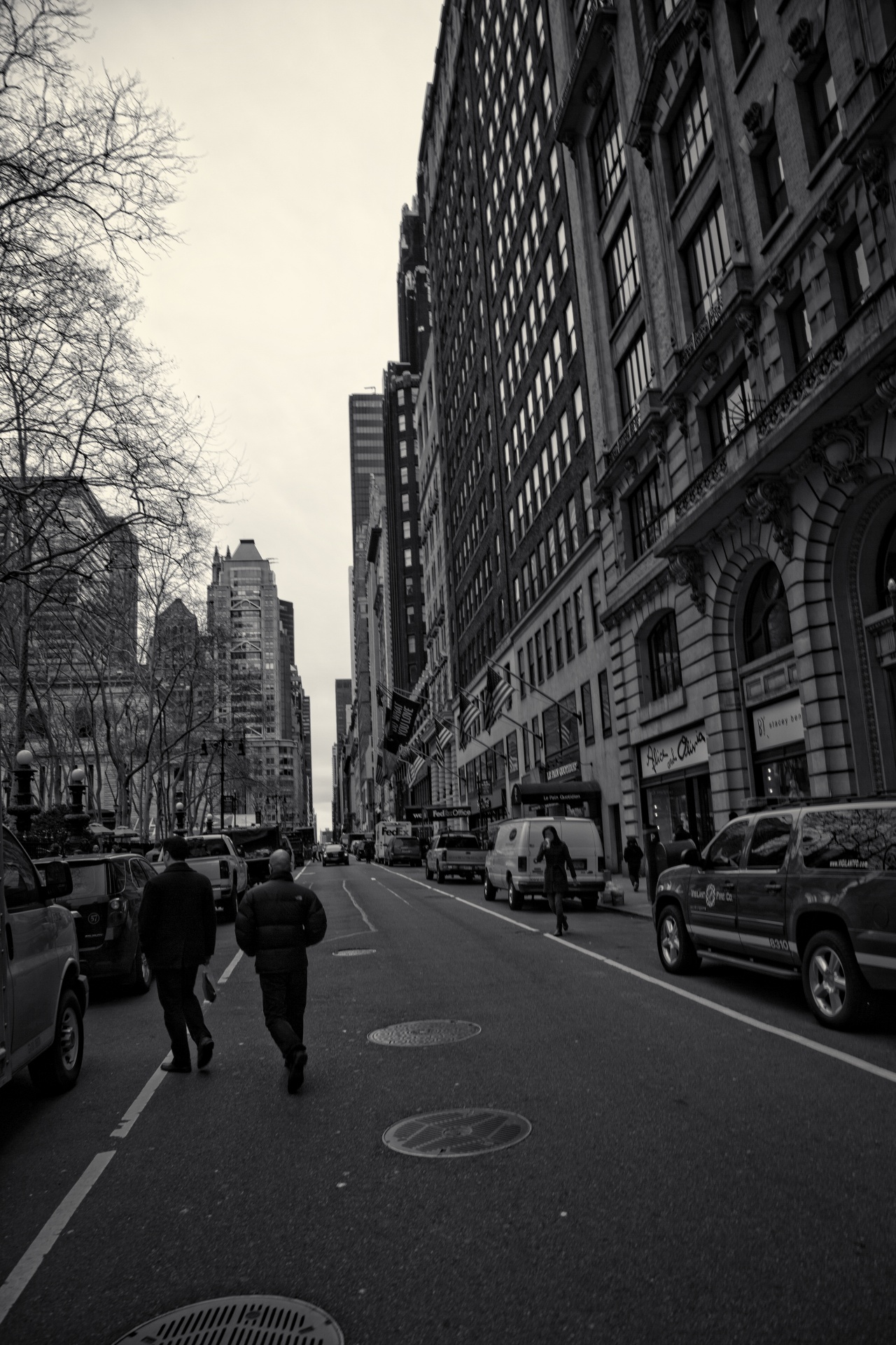 new york street free photo