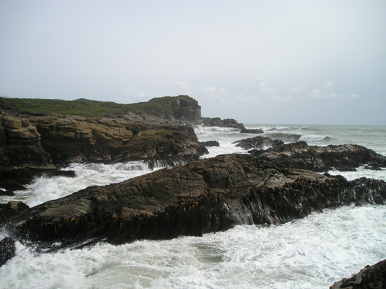 new zealand rocky coast coast free photo