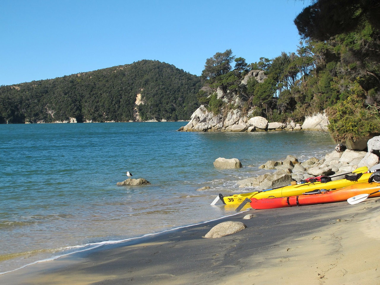 new zealand kayaks water free photo