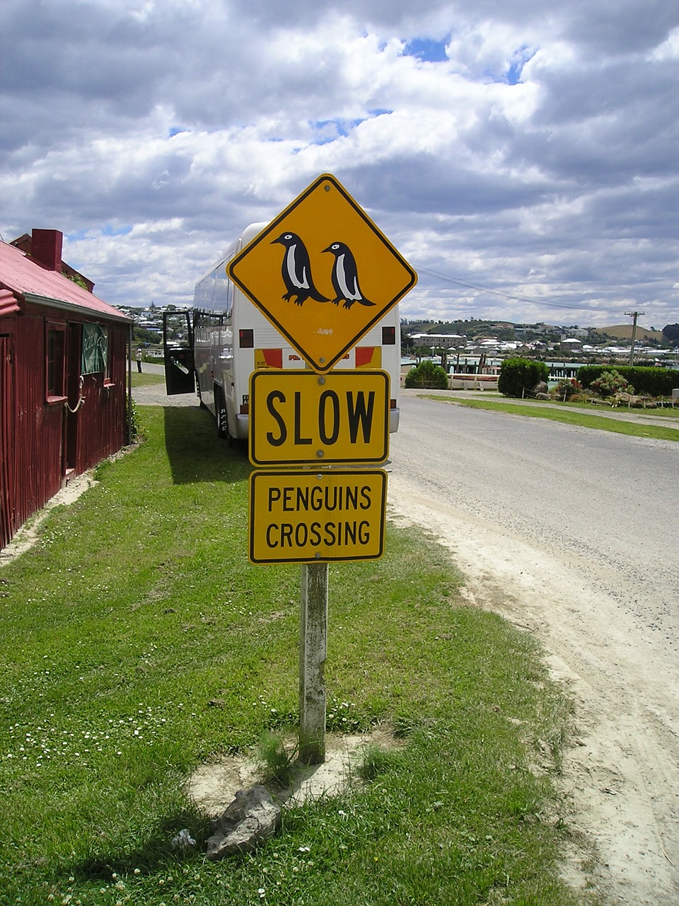 new zealand penguins traffic sign free photo