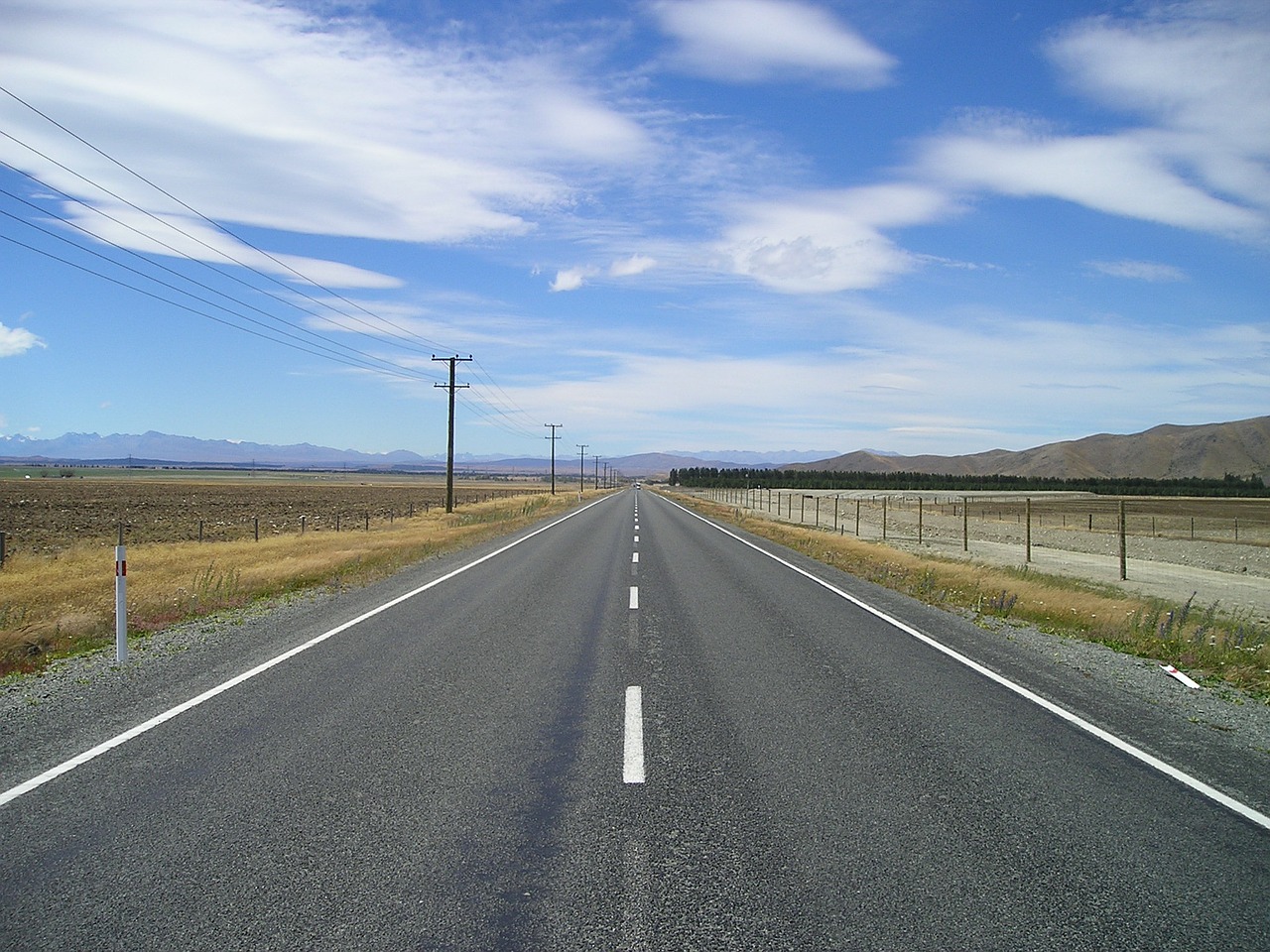 new zealand,endless,road,loneliness,free pictures, free photos, free images, royalty free, free illustrations, public domain