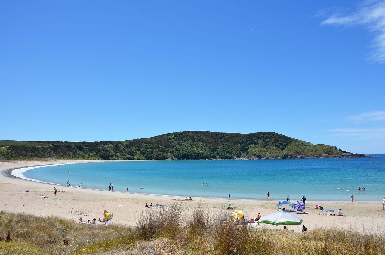 new zealand seaside sandy beach free photo