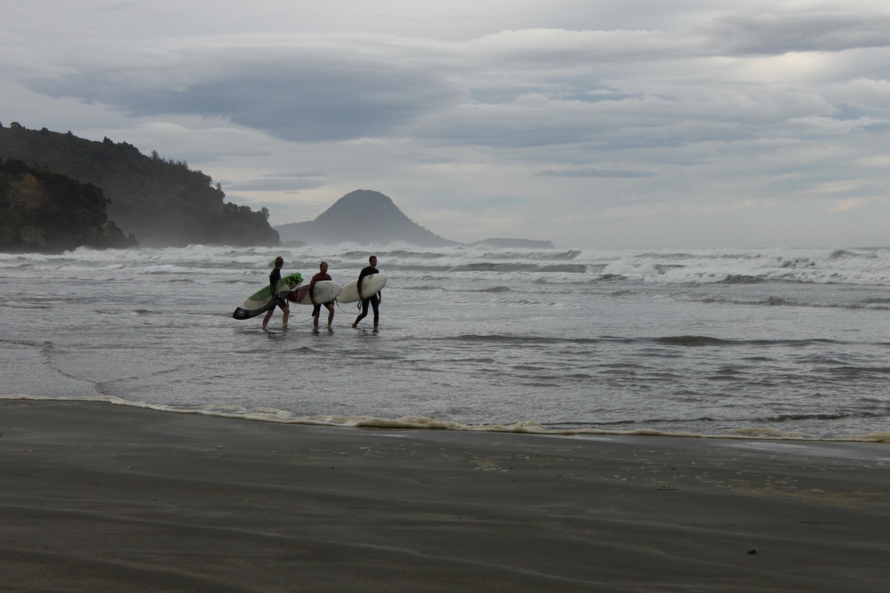 new zealand surfers sea free photo