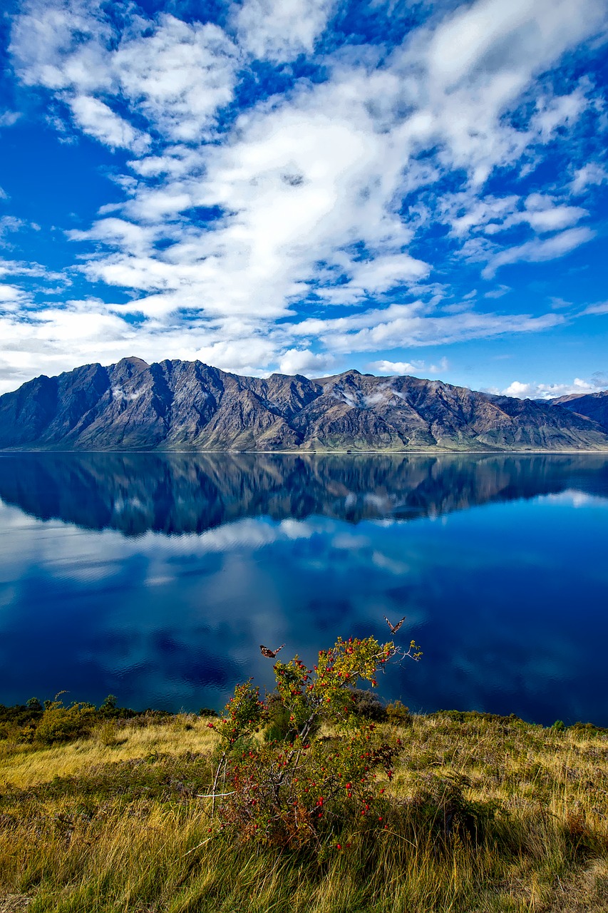 new zealand sky clouds free photo