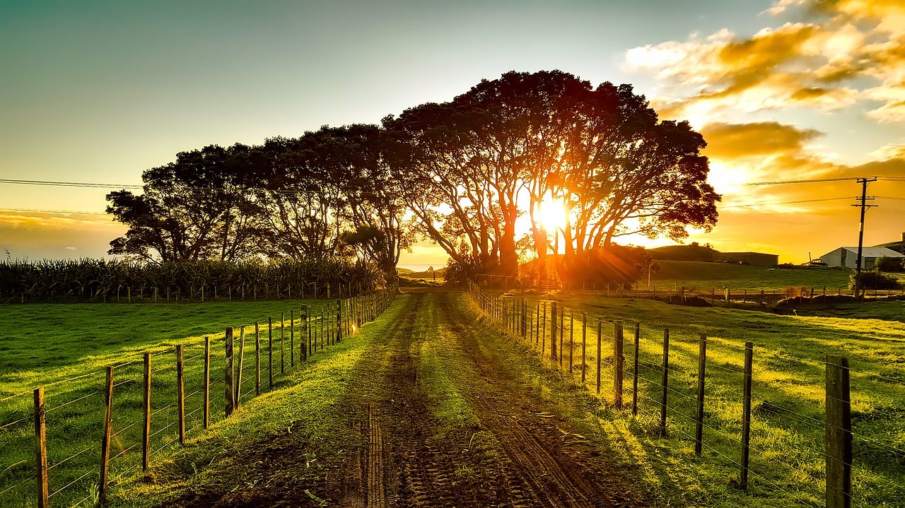 new zealand landscape scenic free photo