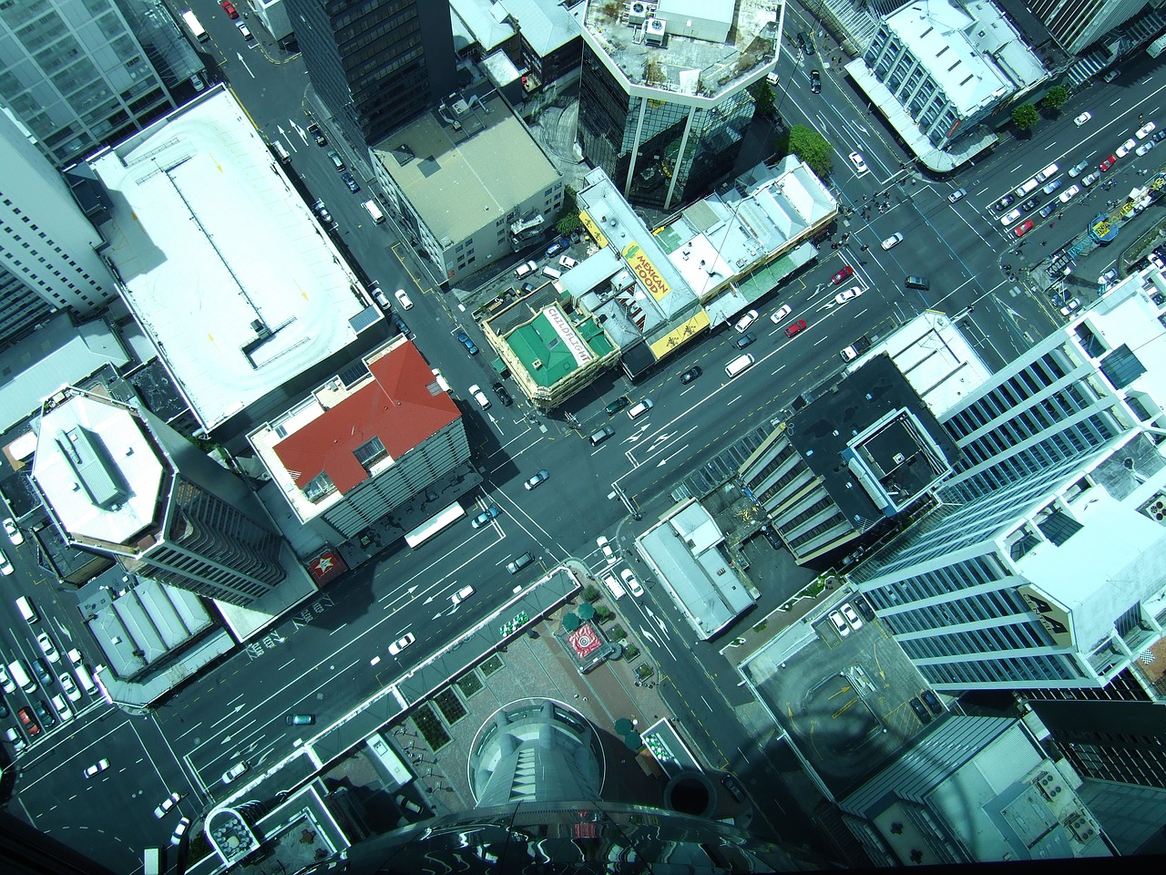 new zealand auckland sky tower free photo