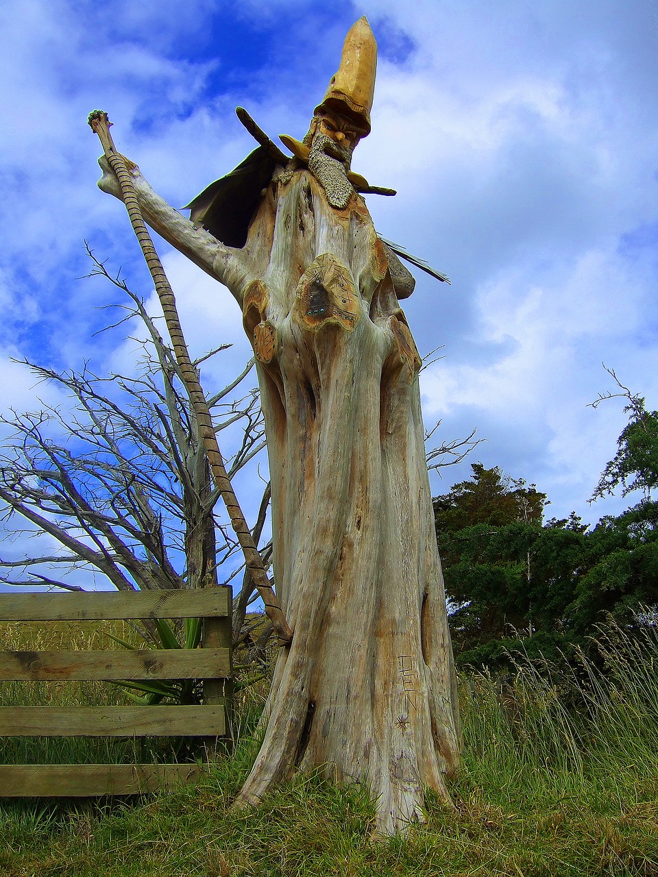 new zealand wood carving wizard free photo