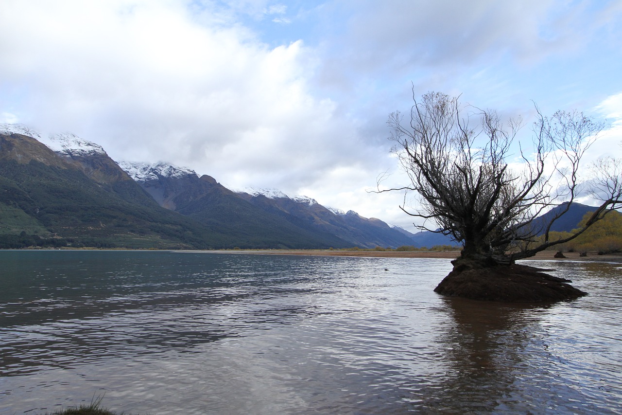 new zealand lake view water the tree free photo