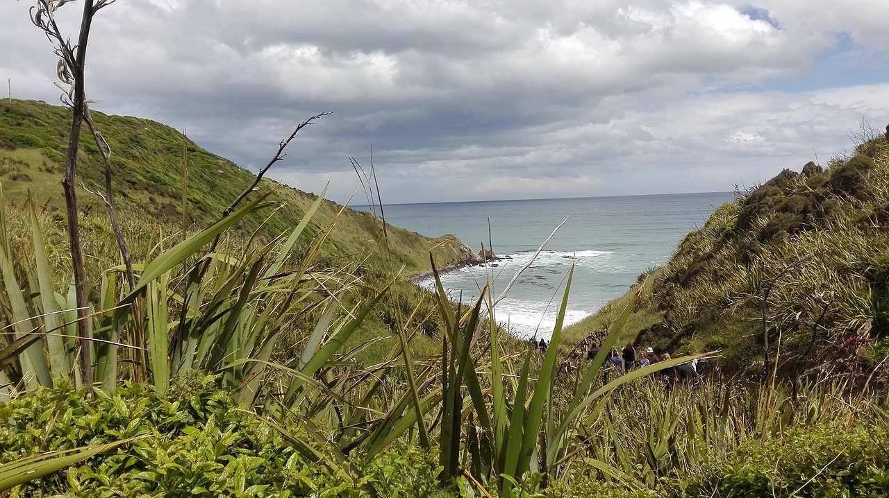 new zealand south island nature free photo