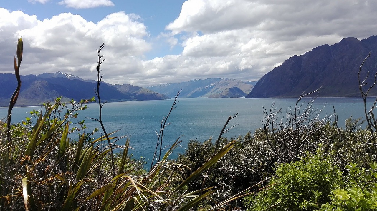 new zealand south island nature free photo