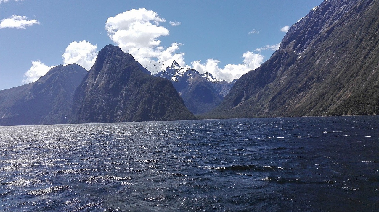 new zealand south island nature free photo