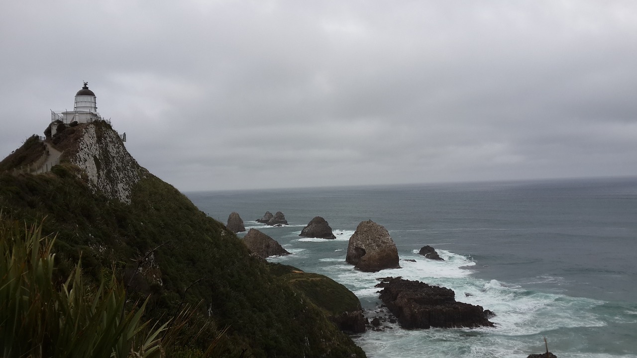 new zealand sea light house free photo