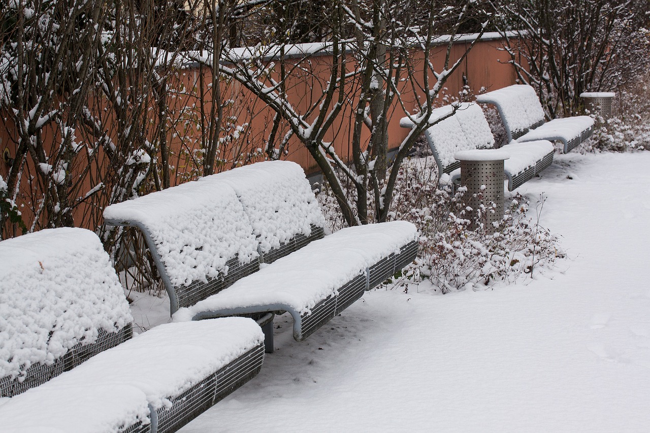 new zealand snow park bench free photo