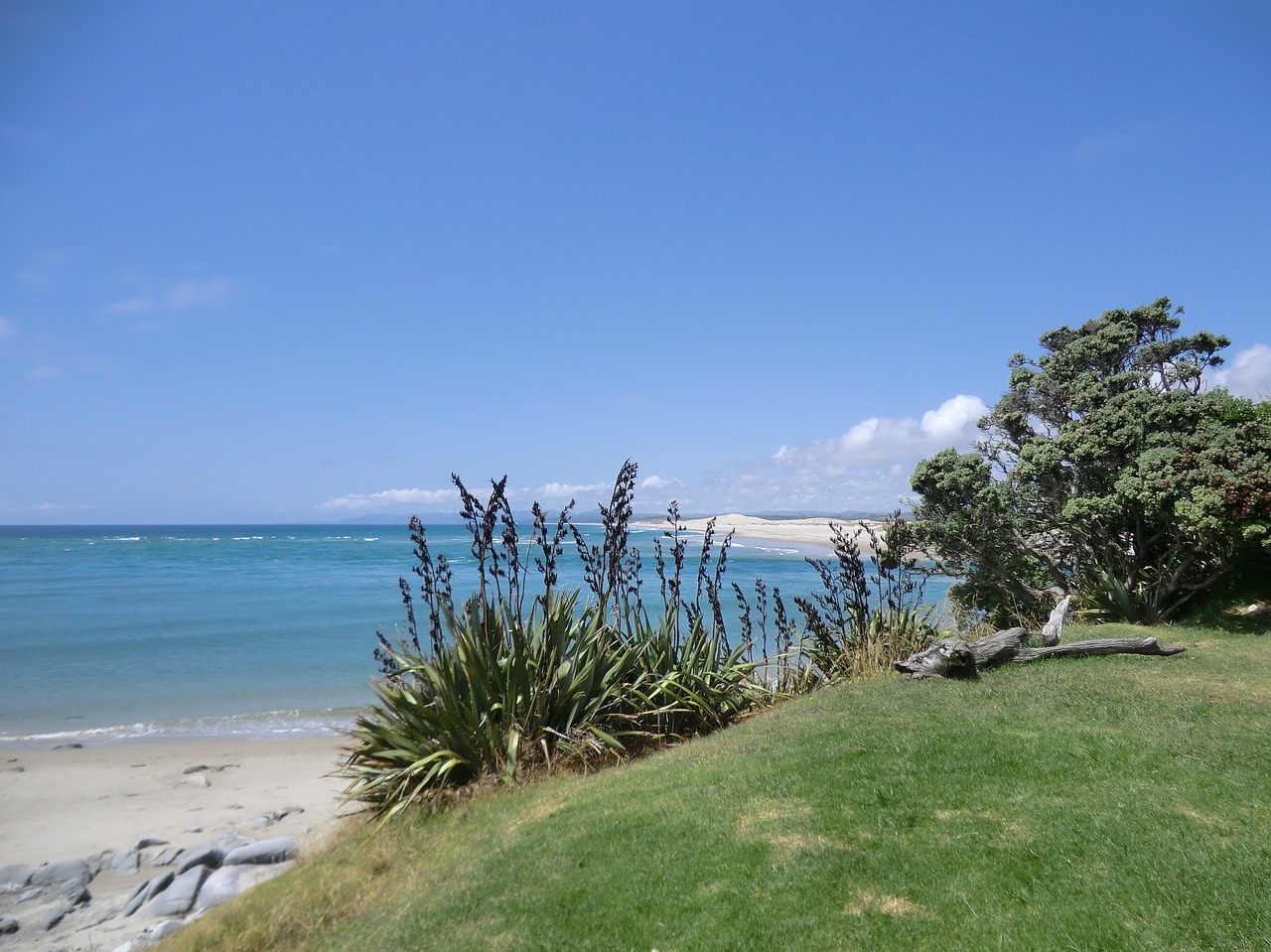 new zealand sea rush free photo