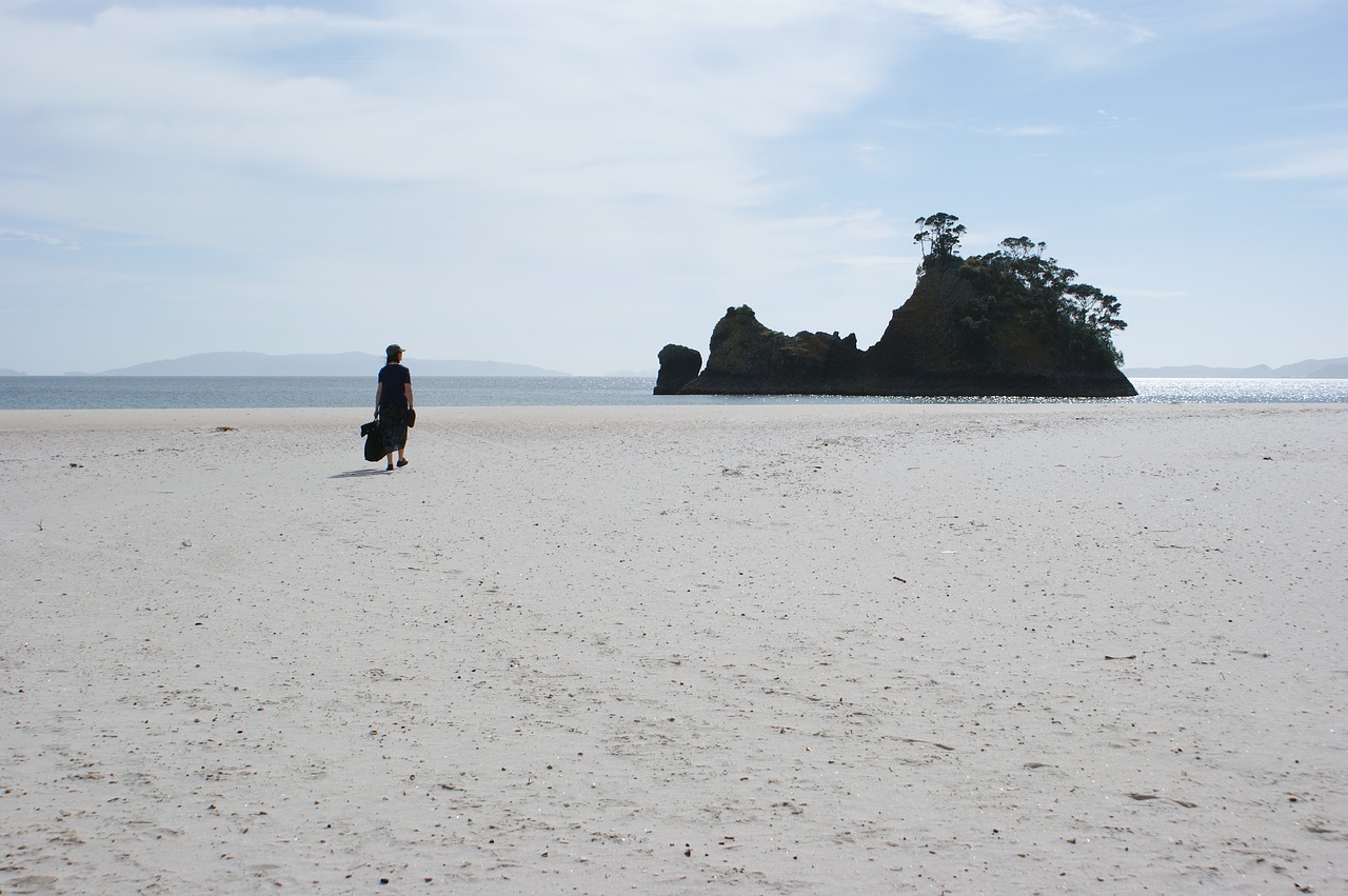 new zealand beach coromandel free photo