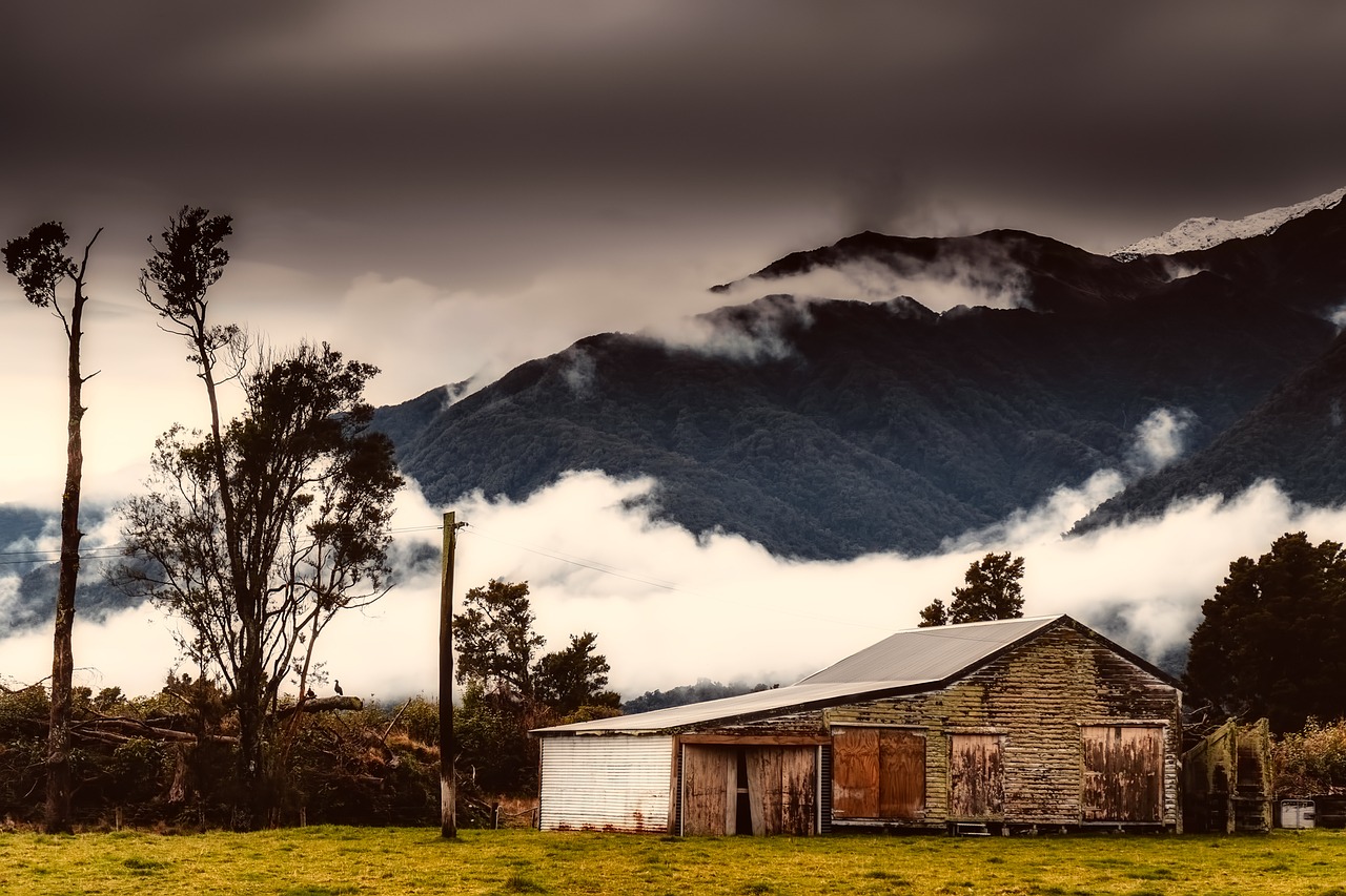 new zealand farm landscape free photo