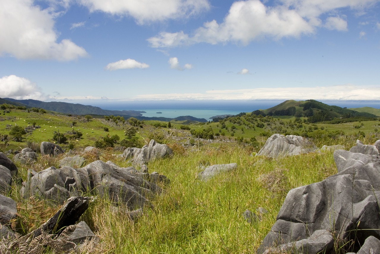 new zealand the coast view free photo