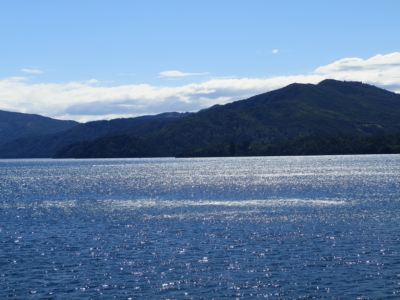 new zealand ocean water free photo