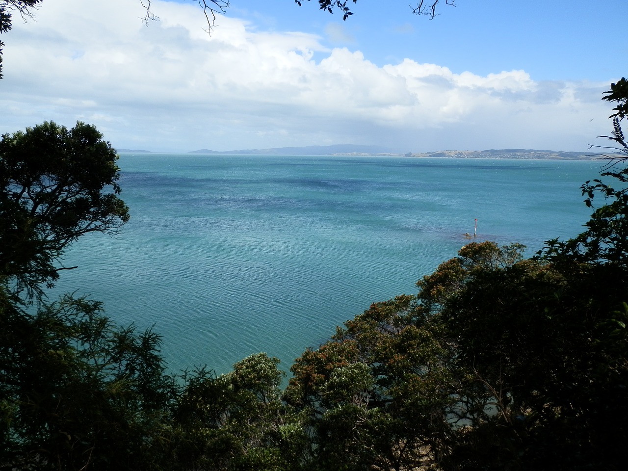 new zealand water landscape free photo