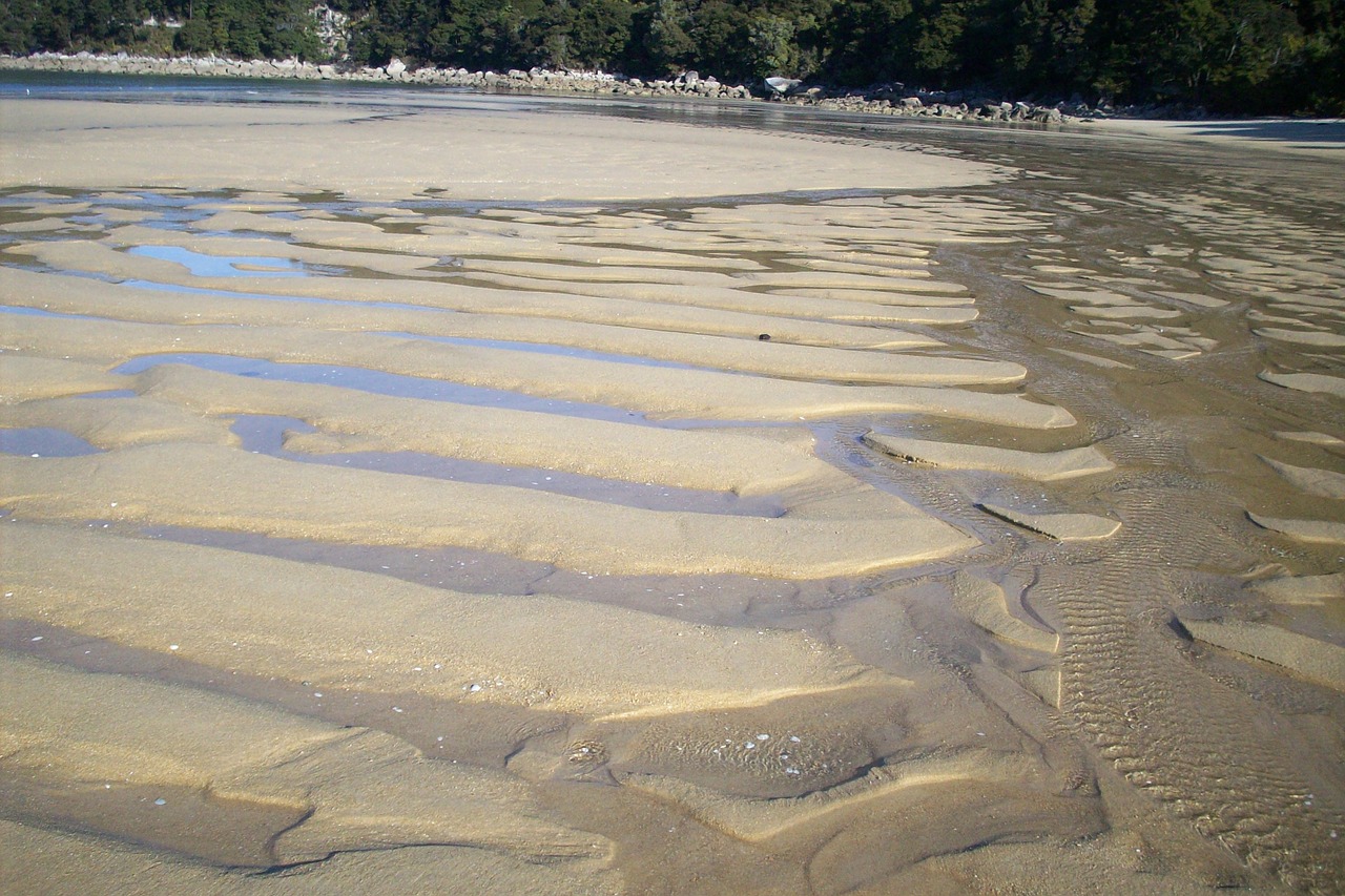 new zealand landscape sand free photo