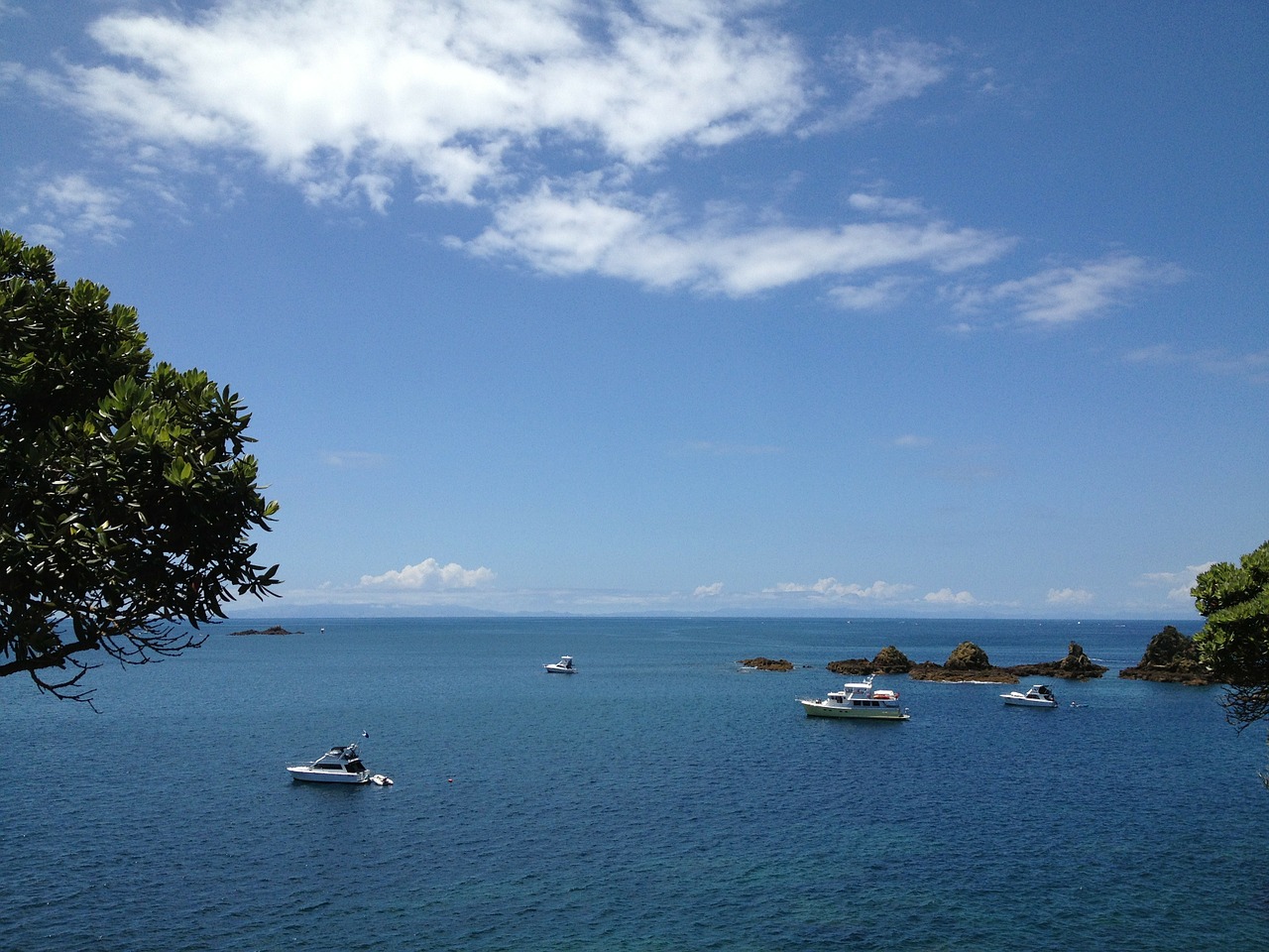 new zealand sea ocean free photo