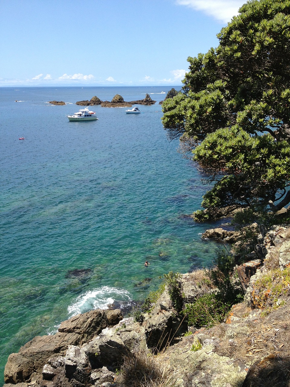 new zealand sea ocean free photo