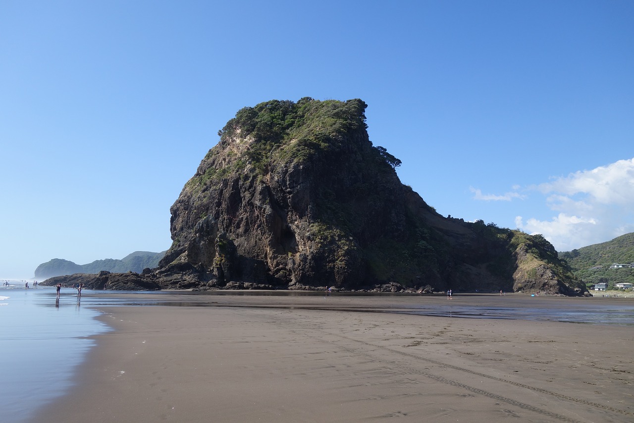 Piha Beach новая Зеландия. Новая Зеландия Северный остров. Тасманово море. Новая Зеландия черный песок. N island