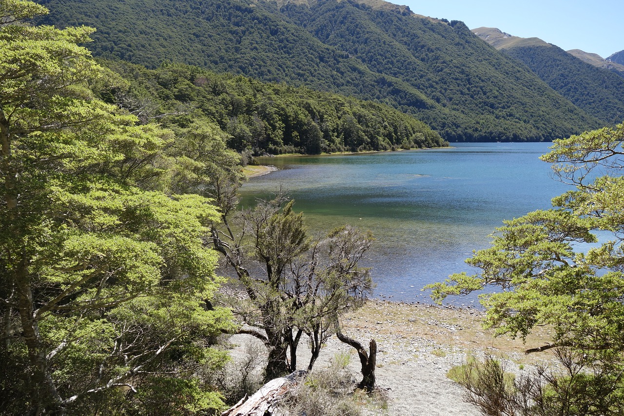 new zealand  south island  water free photo