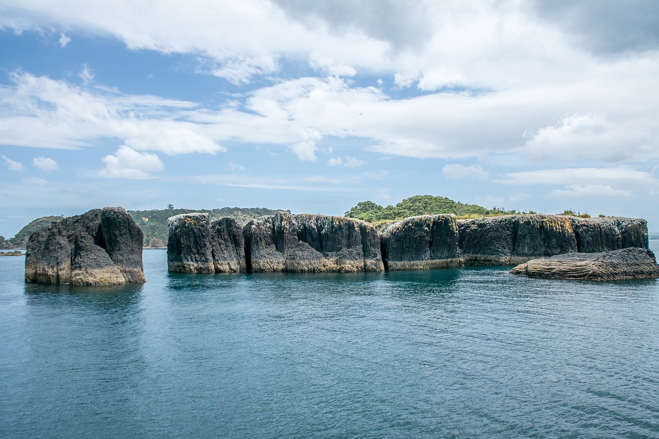 new zealand  nature  sea free photo