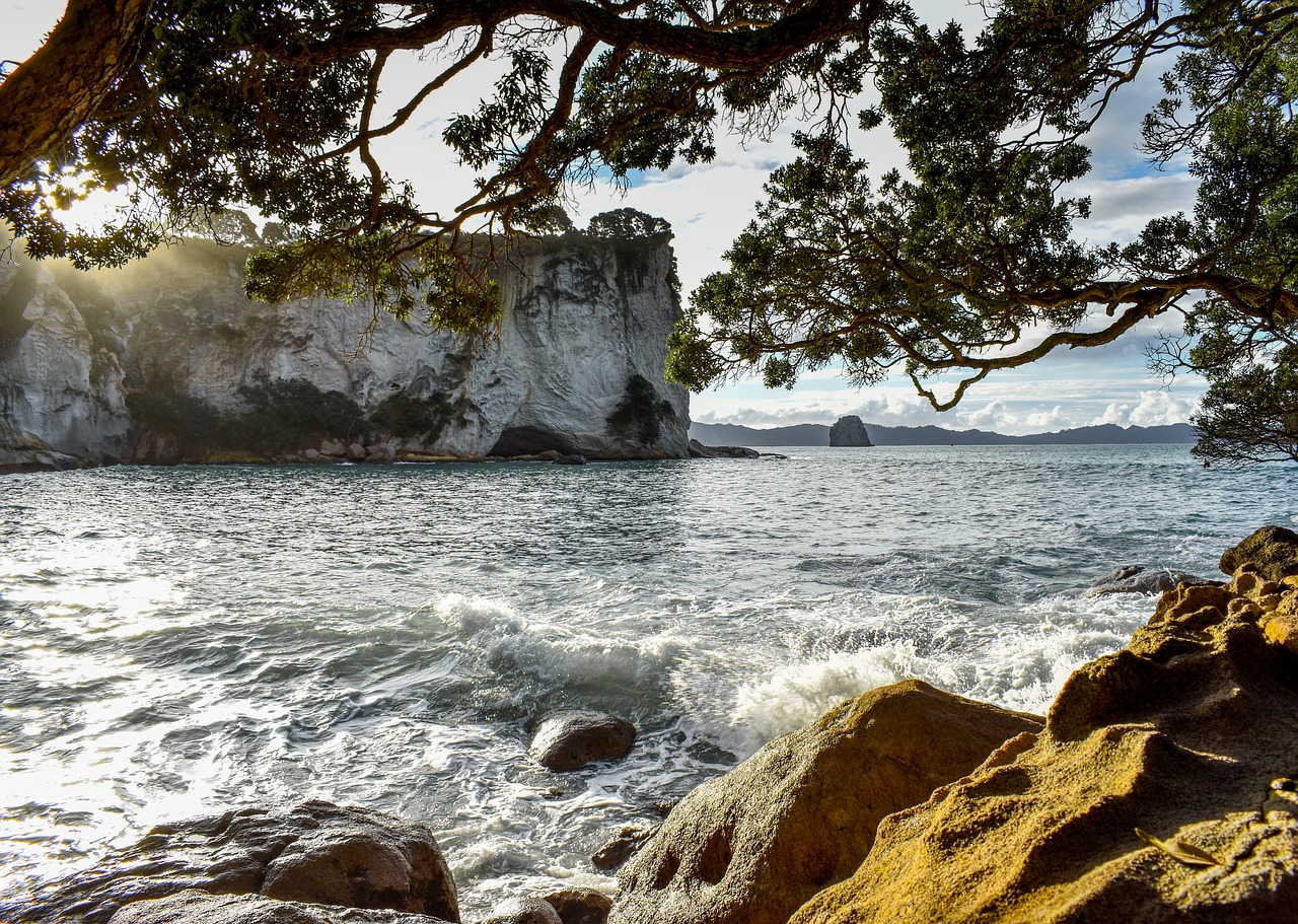 new zealand  north island  nature free photo