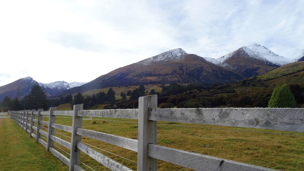 new zealand  tourist  travel free photo