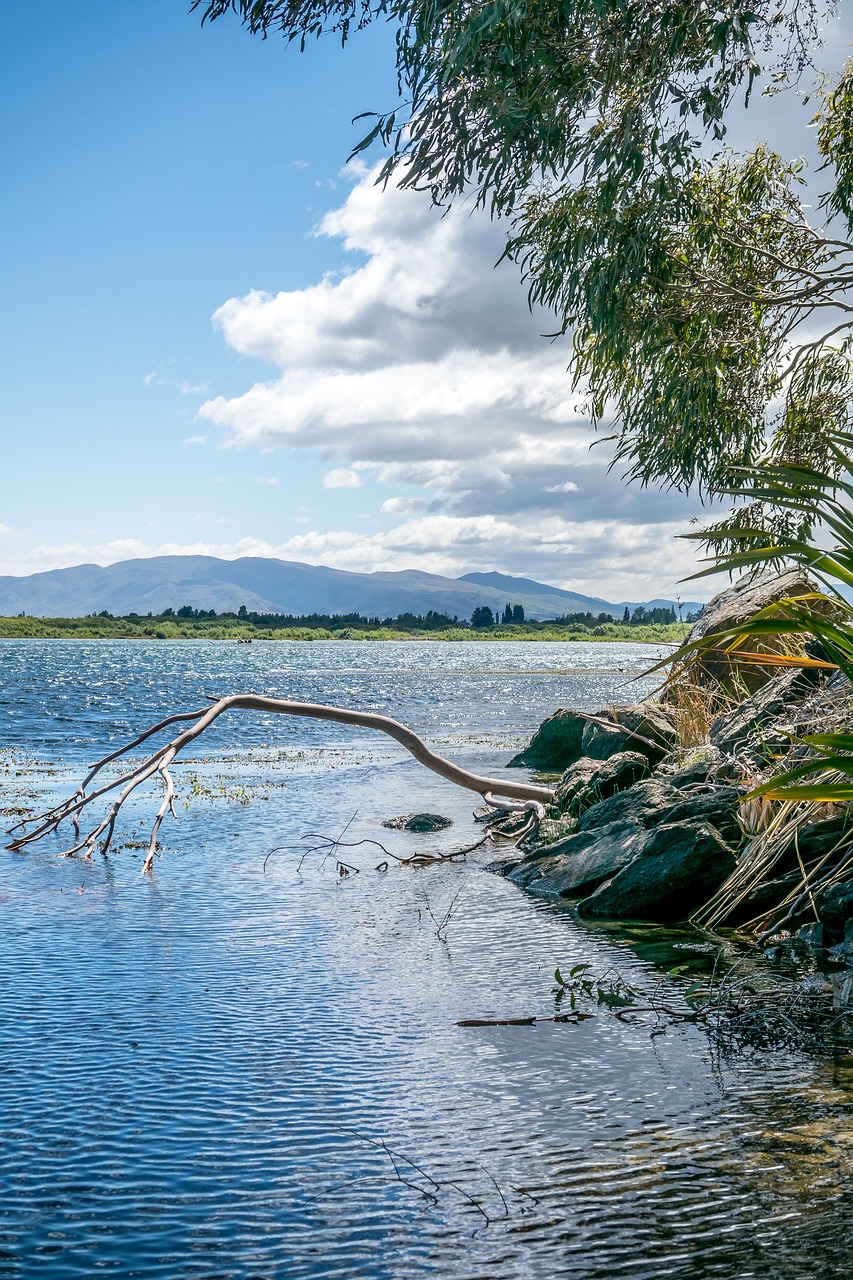 new zealand  water  lake free photo