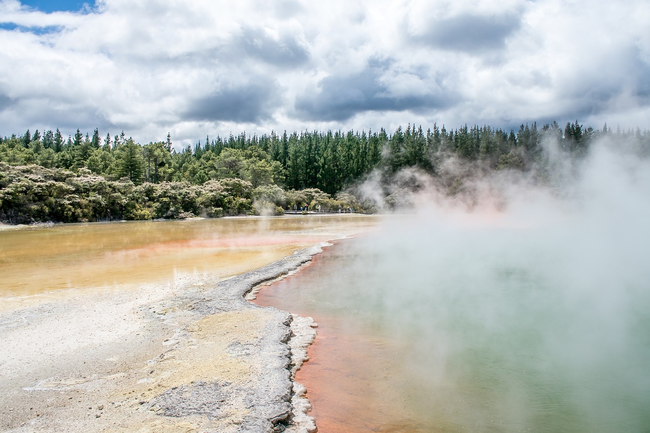 new zealand  thermal  rotorua free photo