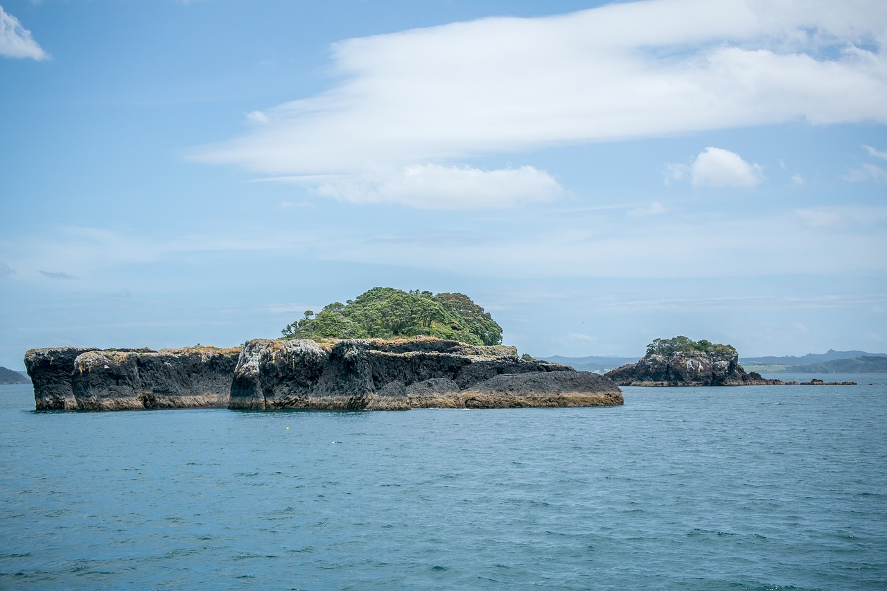 new zealand  sea  landscape free photo