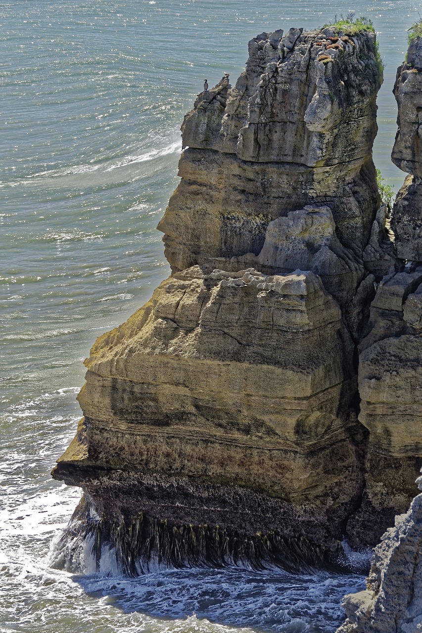 new zealand  south island  paparoa national park free photo