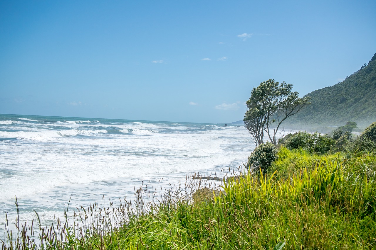 new zealand  nature  landscape free photo