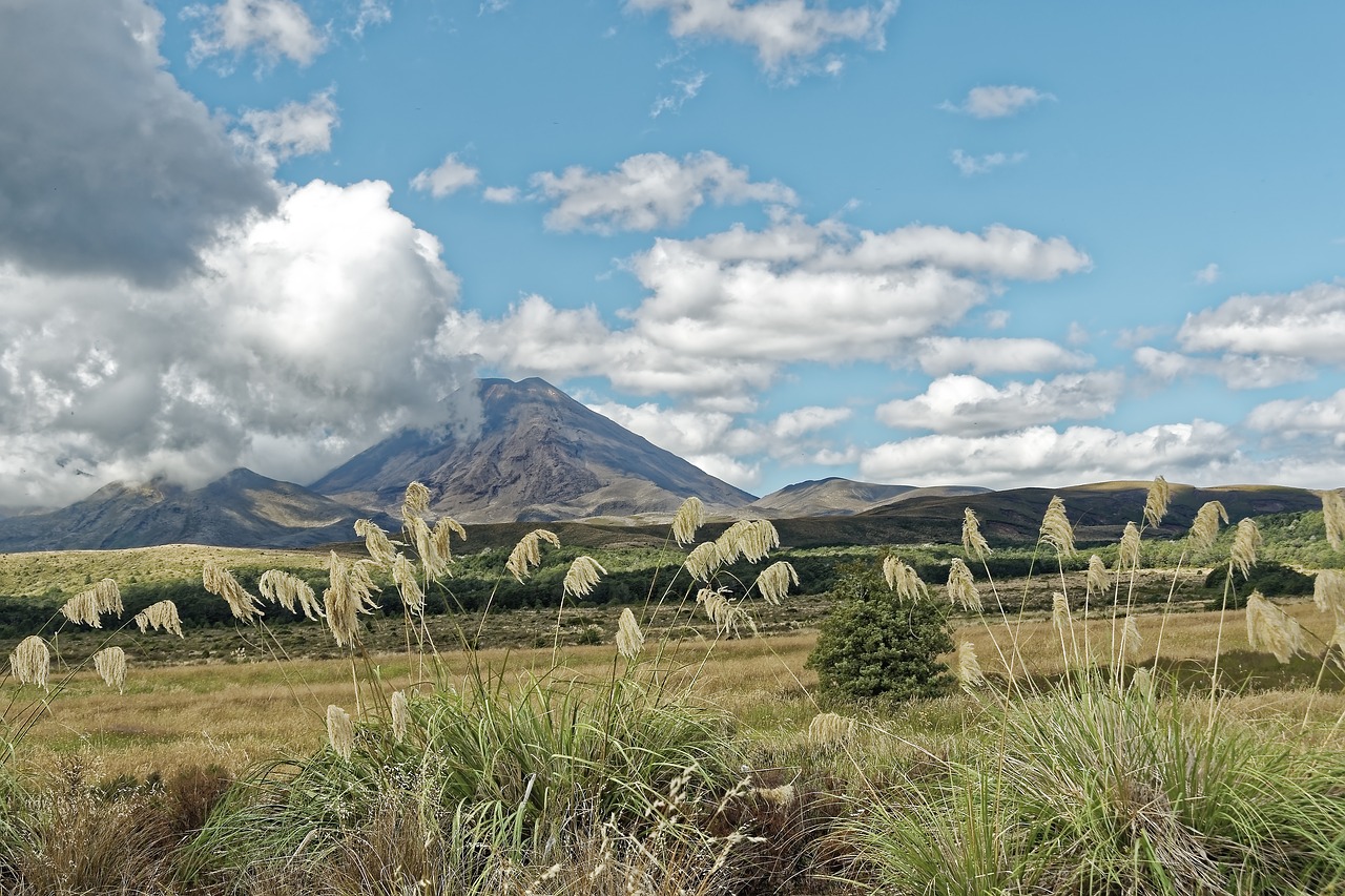 new zealand  tongariro  north island free photo