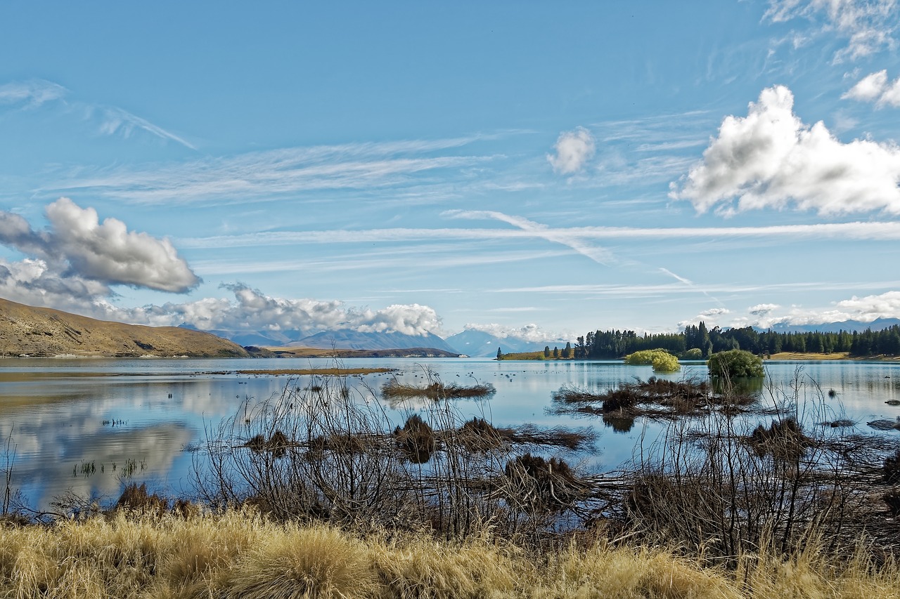 new zealand  lake tekapo  south island free photo