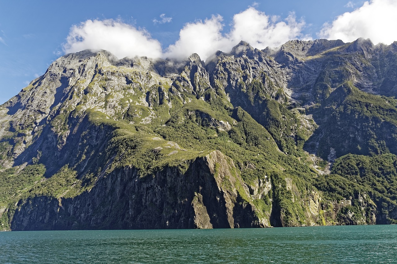 new zealand  milford sound  fjord free photo