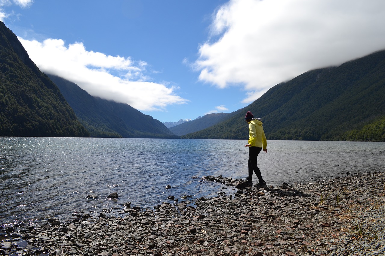 new zealand  lake  national park free photo