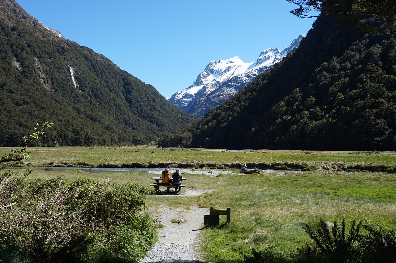 new zealand  nature  mountains free photo