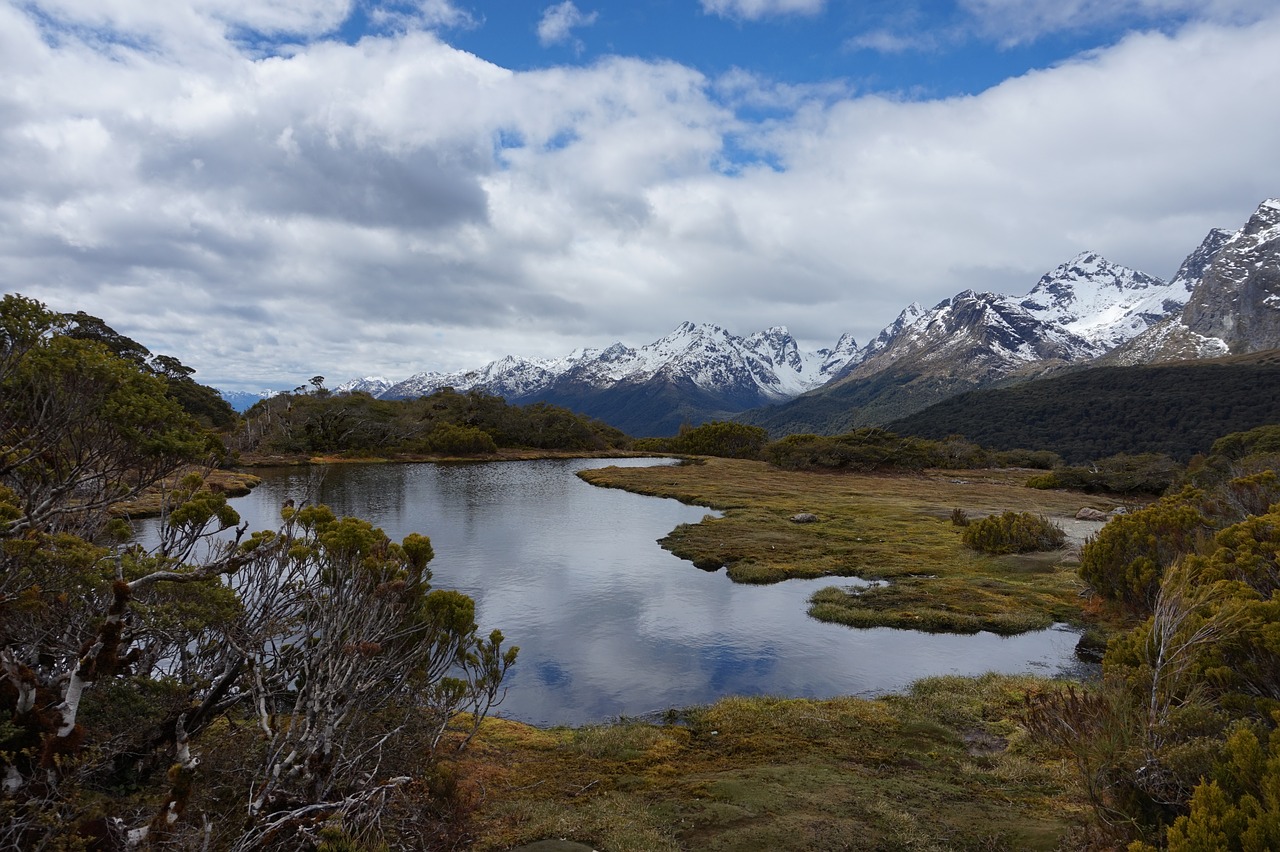 new zealand  nature  mountains free photo